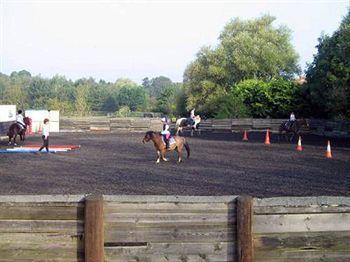 Willowbrook Riding Centre Bed & Breakfast Chichester Exterior photo